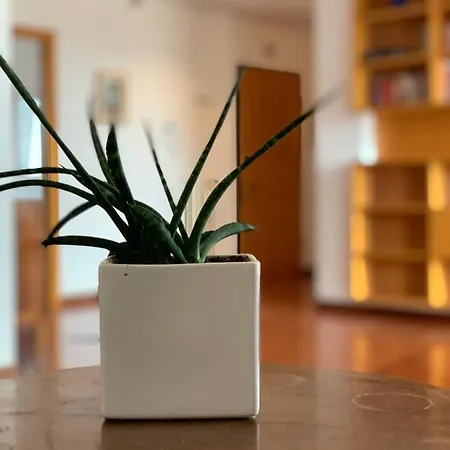 Apartment Luxury Tridente *
